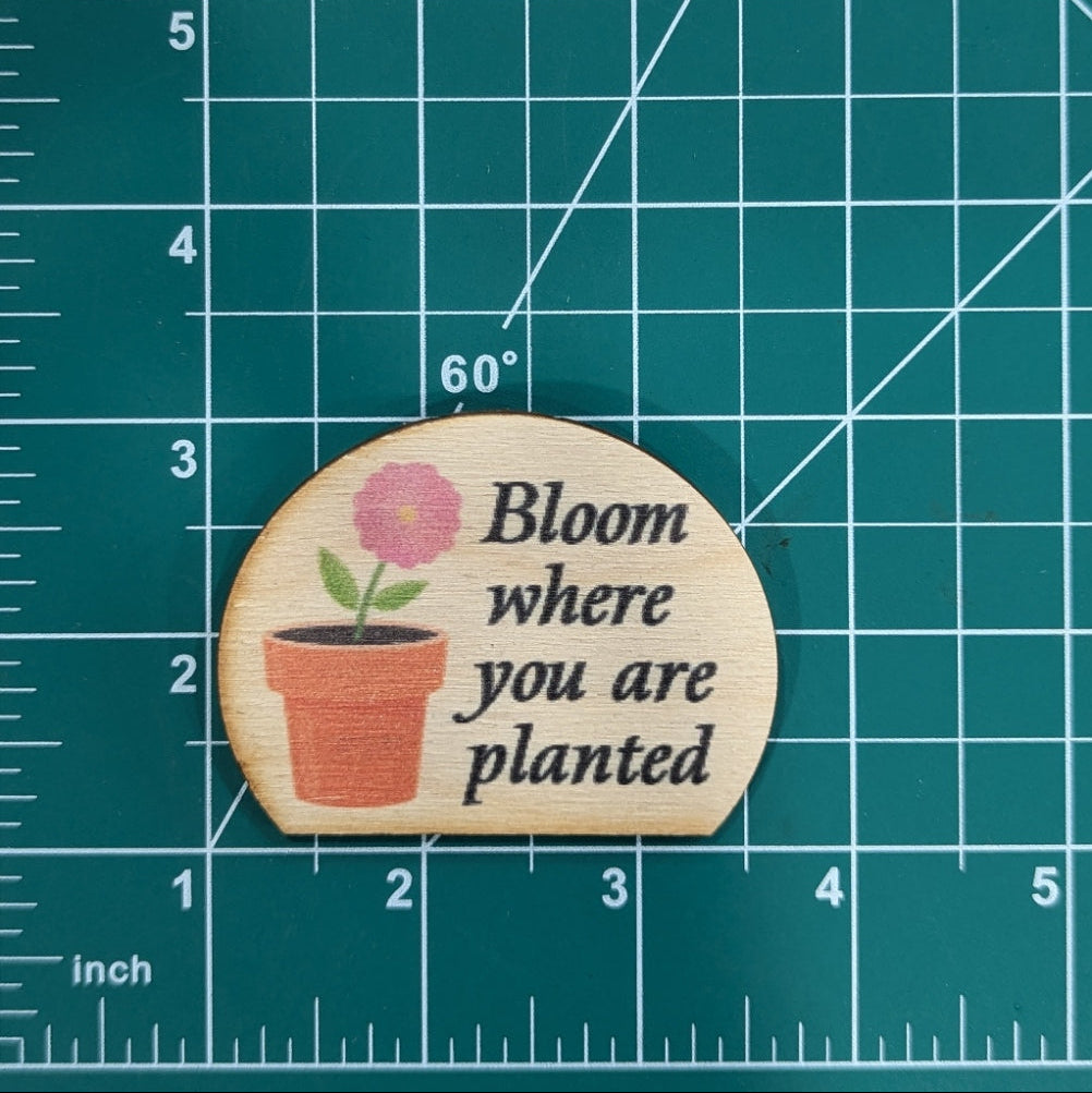 Bloom Where You Are Planted
