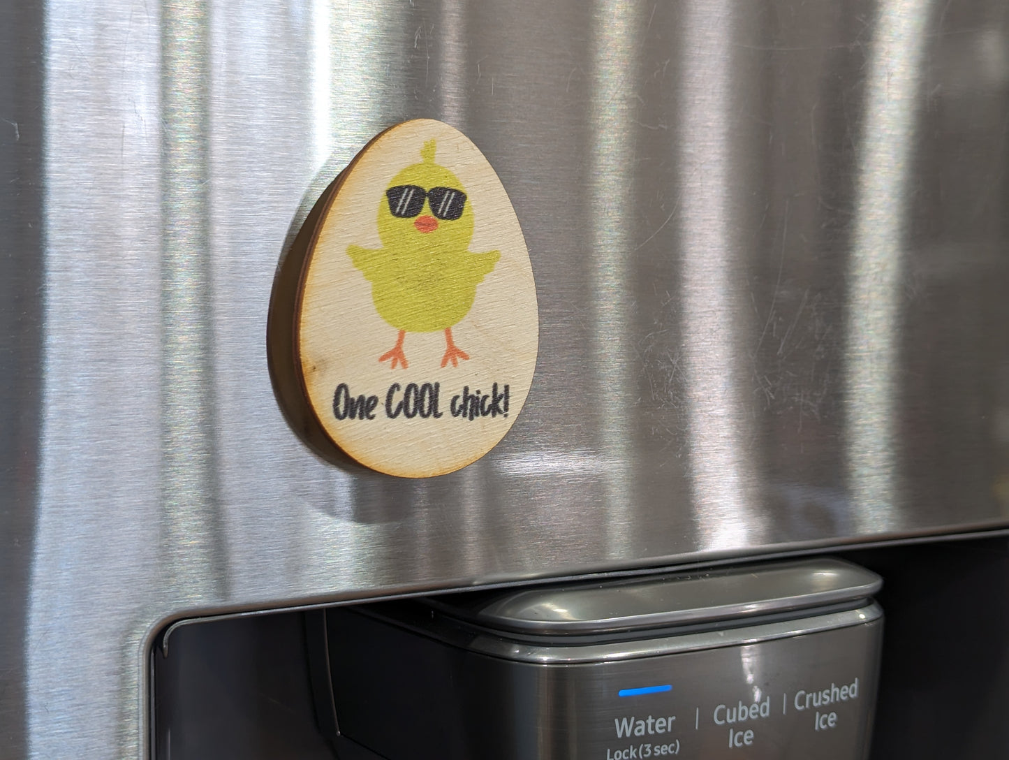 One Cool Chick