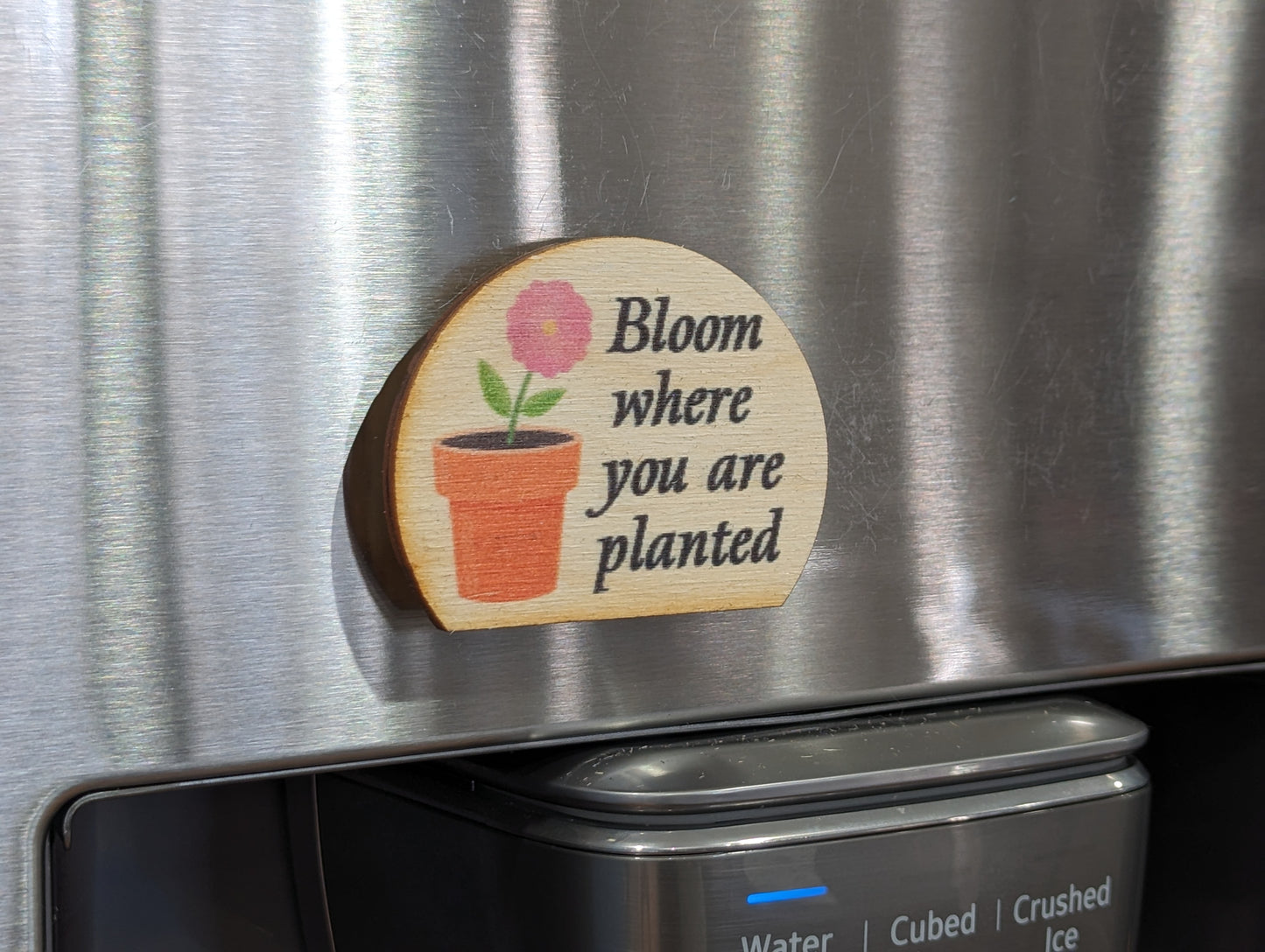Bloom Where You Are Planted