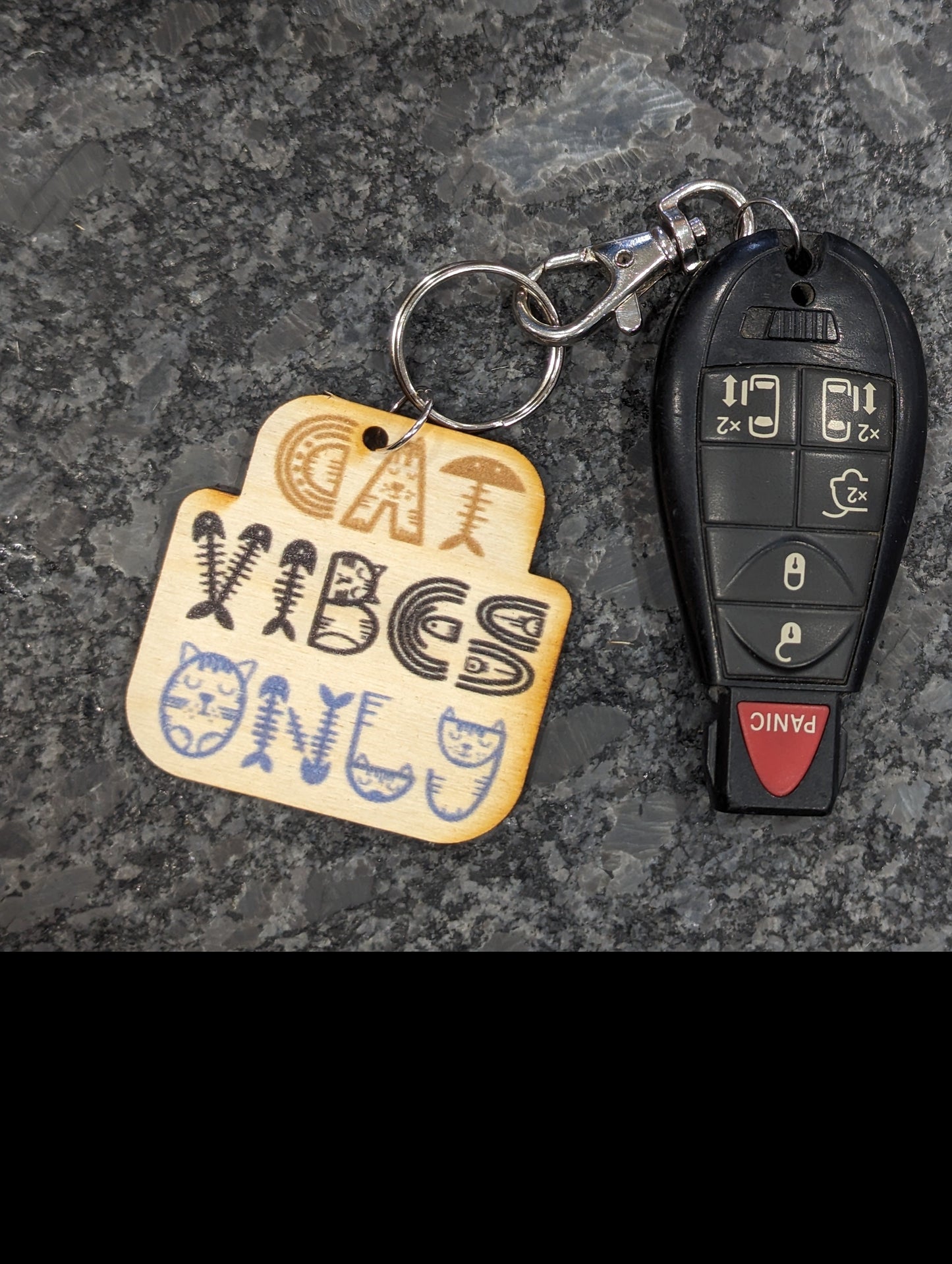 Cat Vibes Only