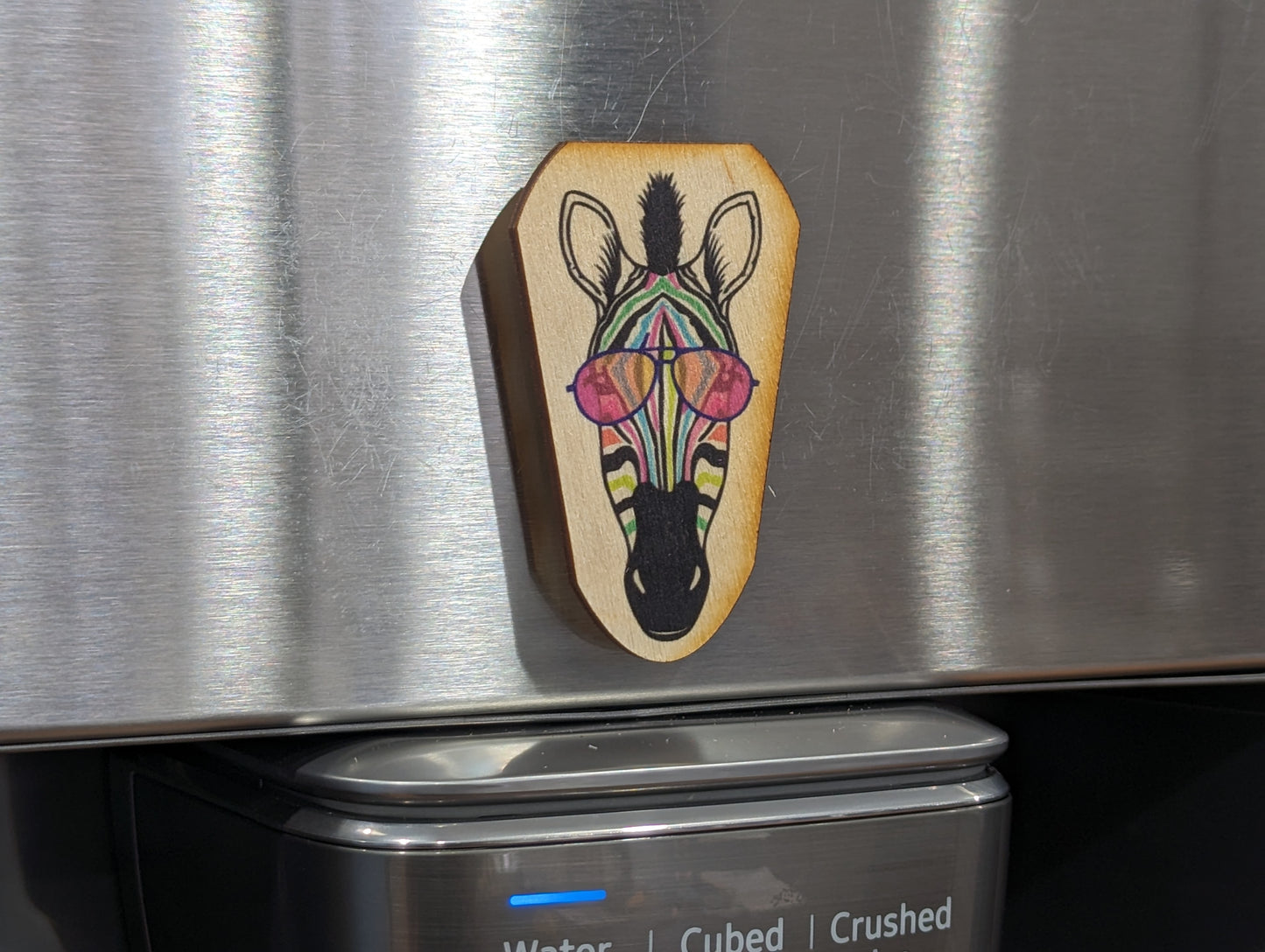 Rainbow Zebra Sunglasses