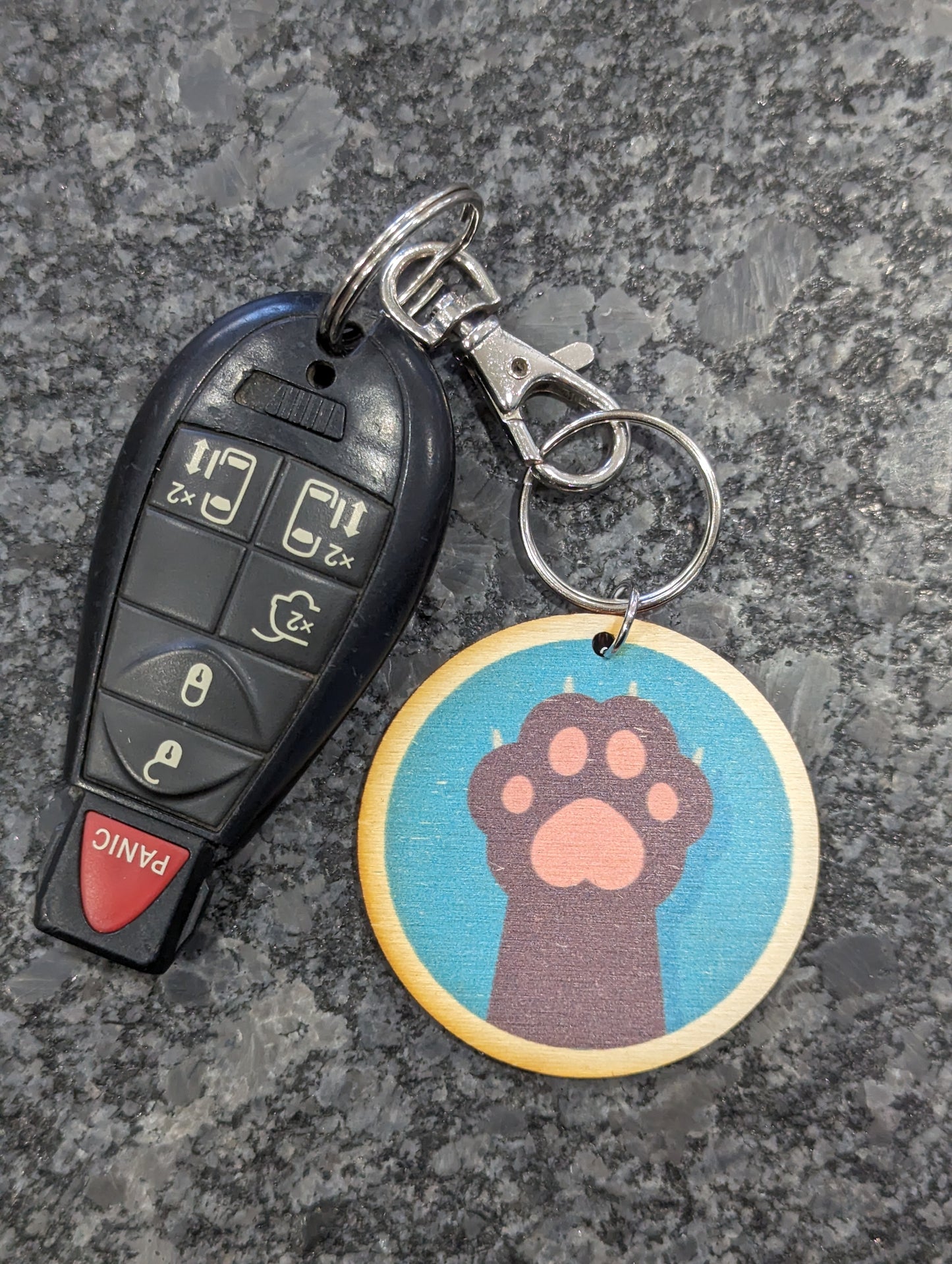 Cat Paw Blue Background