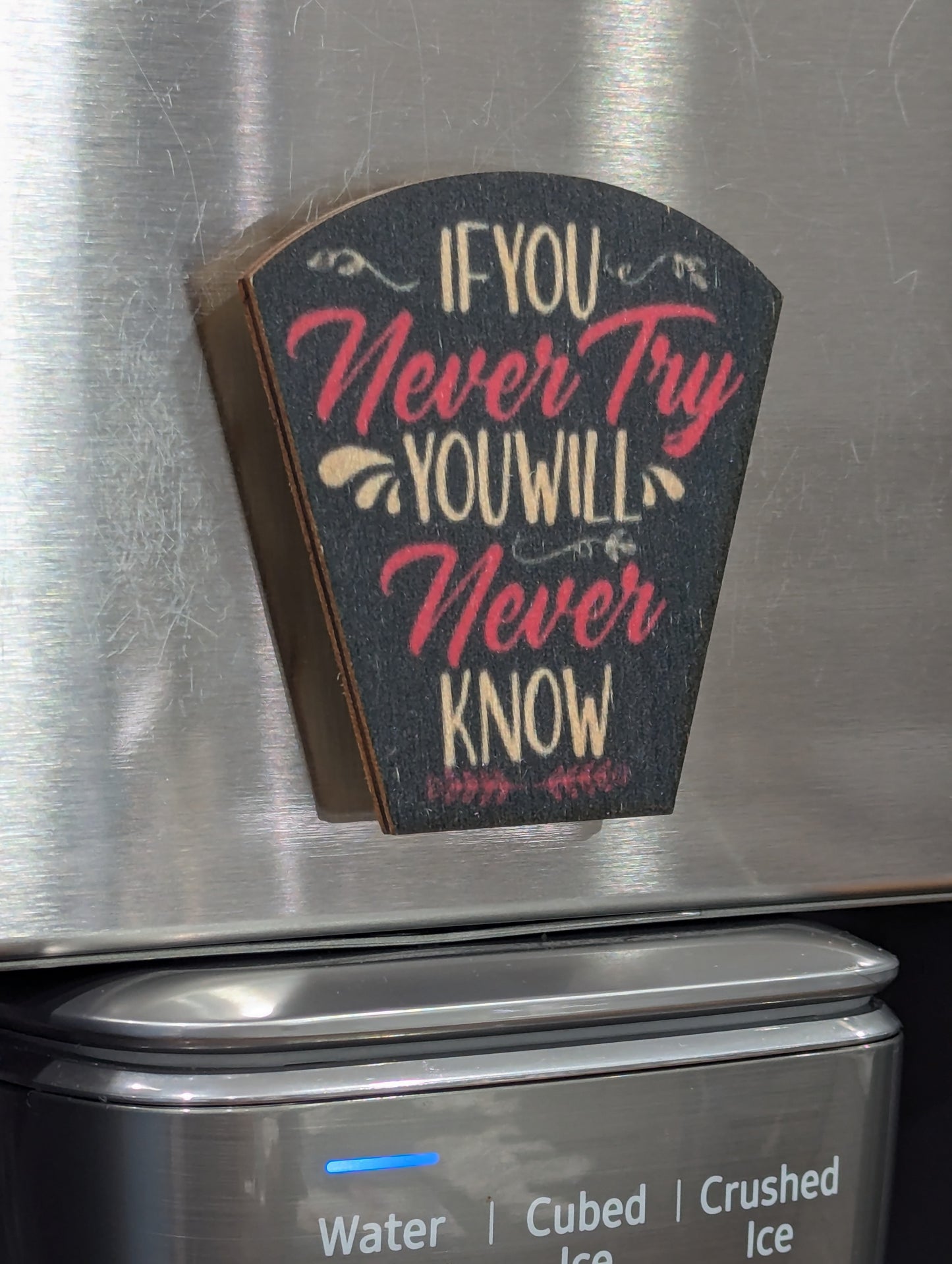 If You Never Try You Will Never Know