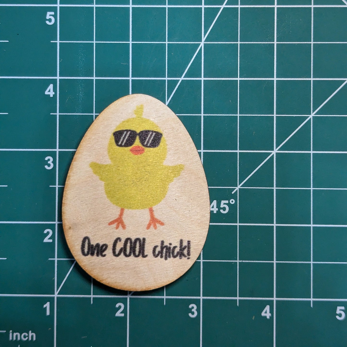 One Cool Chick
