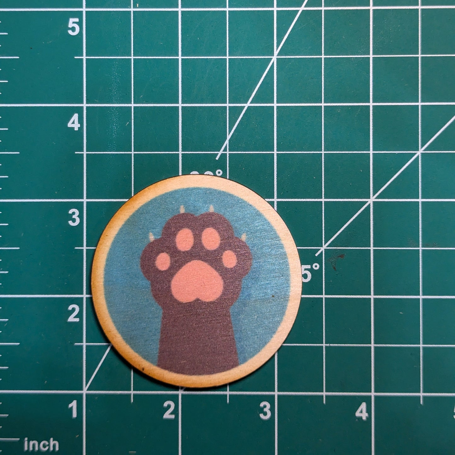 Cat Paw Blue Background