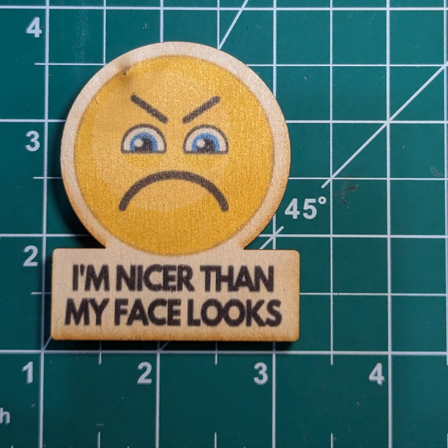 I'm Nicer Than My Face Looks