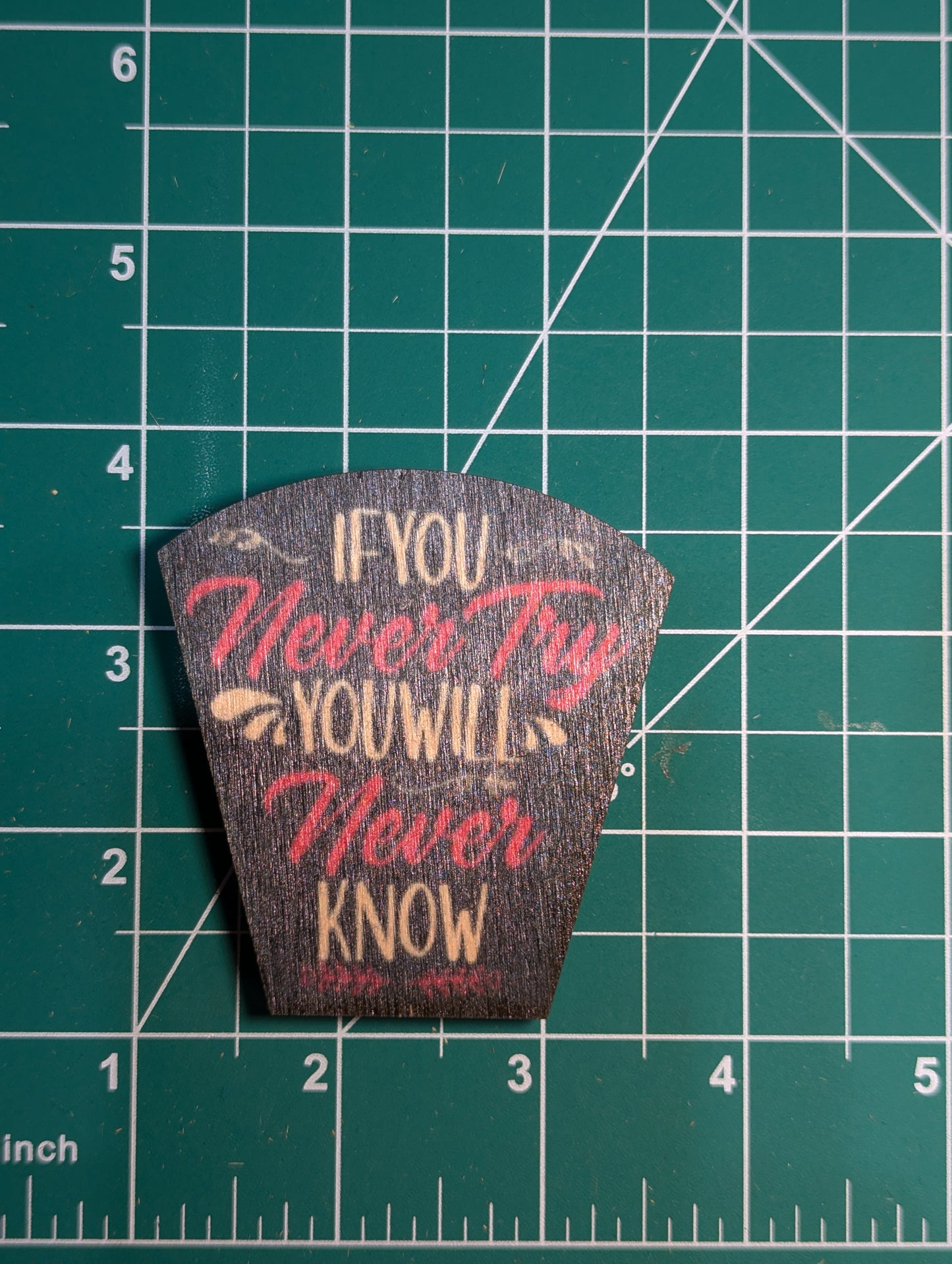 If You Never Try You Will Never Know