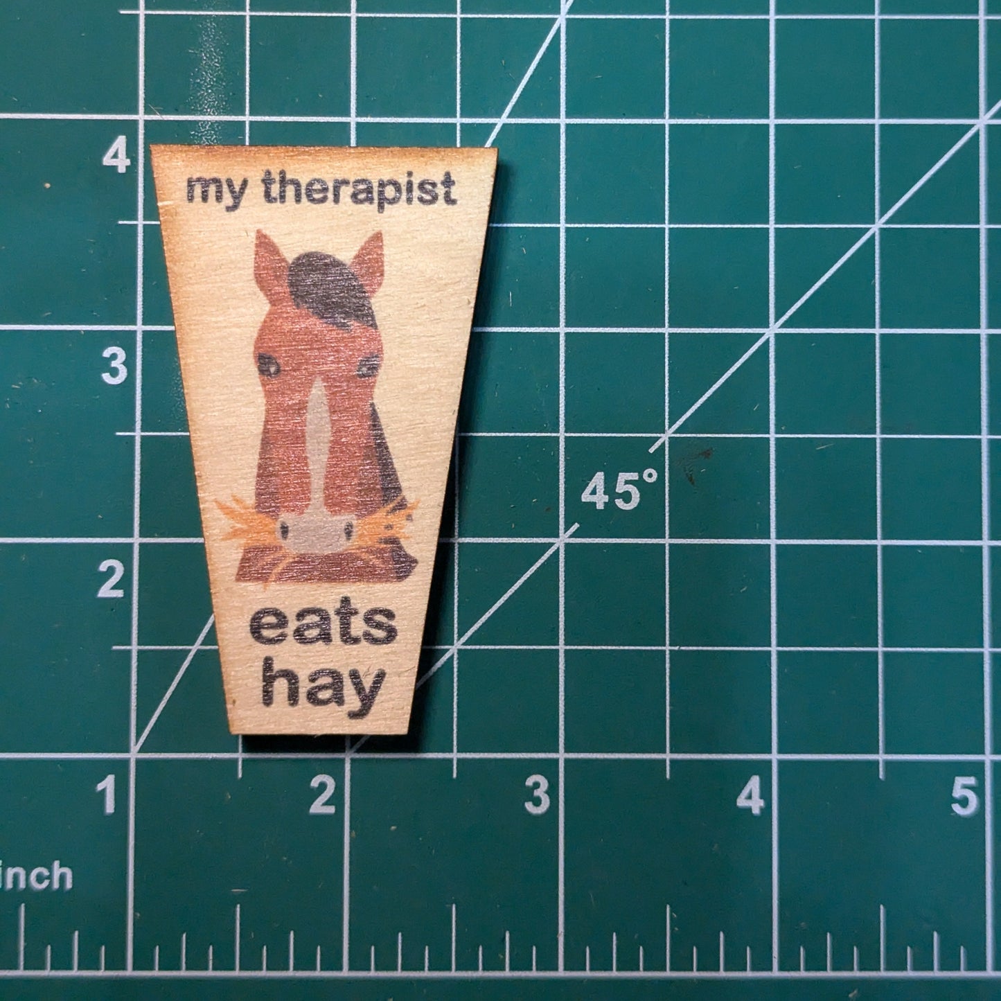 My Therapist Eats Hay