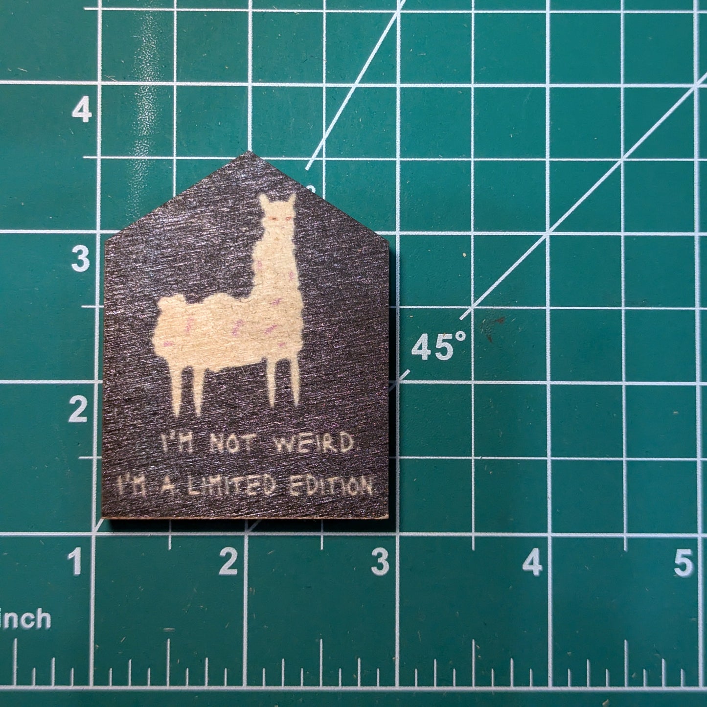 I'm Not Weird I'm Limited Edition