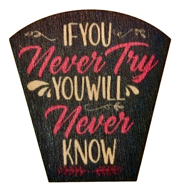 If You Never Try You Will Never Know