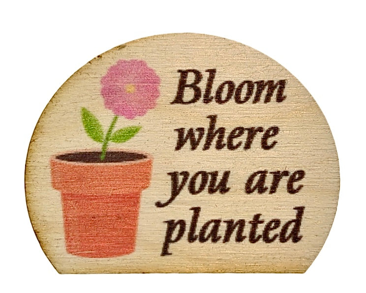 Bloom Where You Are Planted