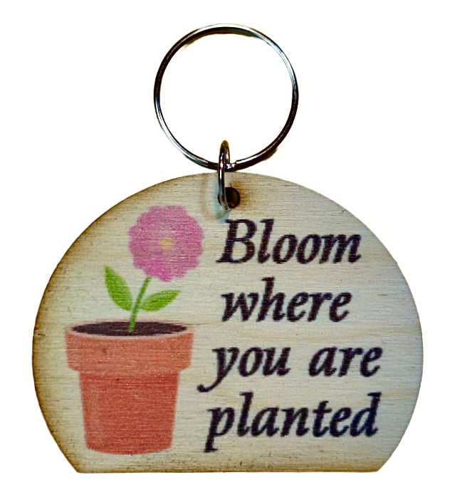 Bloom Where You Are Planted