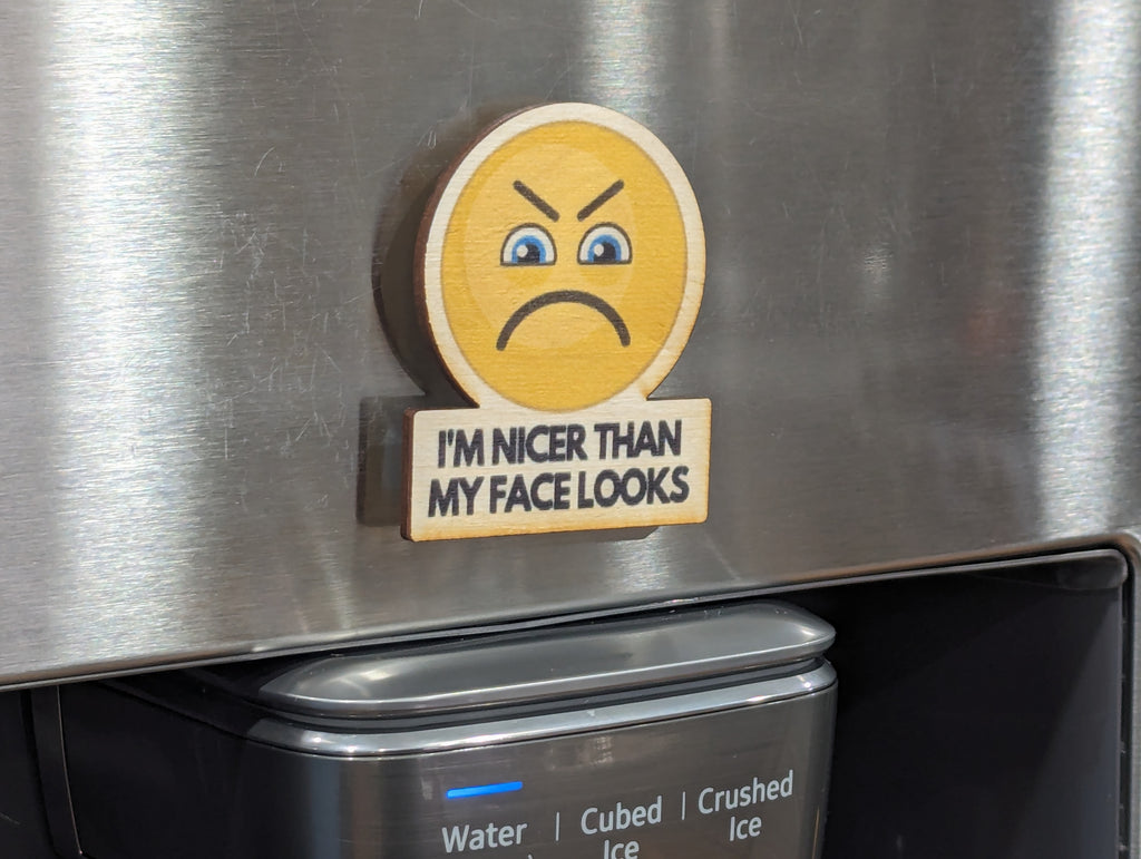 I'm Nicer Than My Face Looks