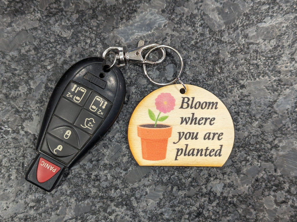 Bloom Where You Are Planted