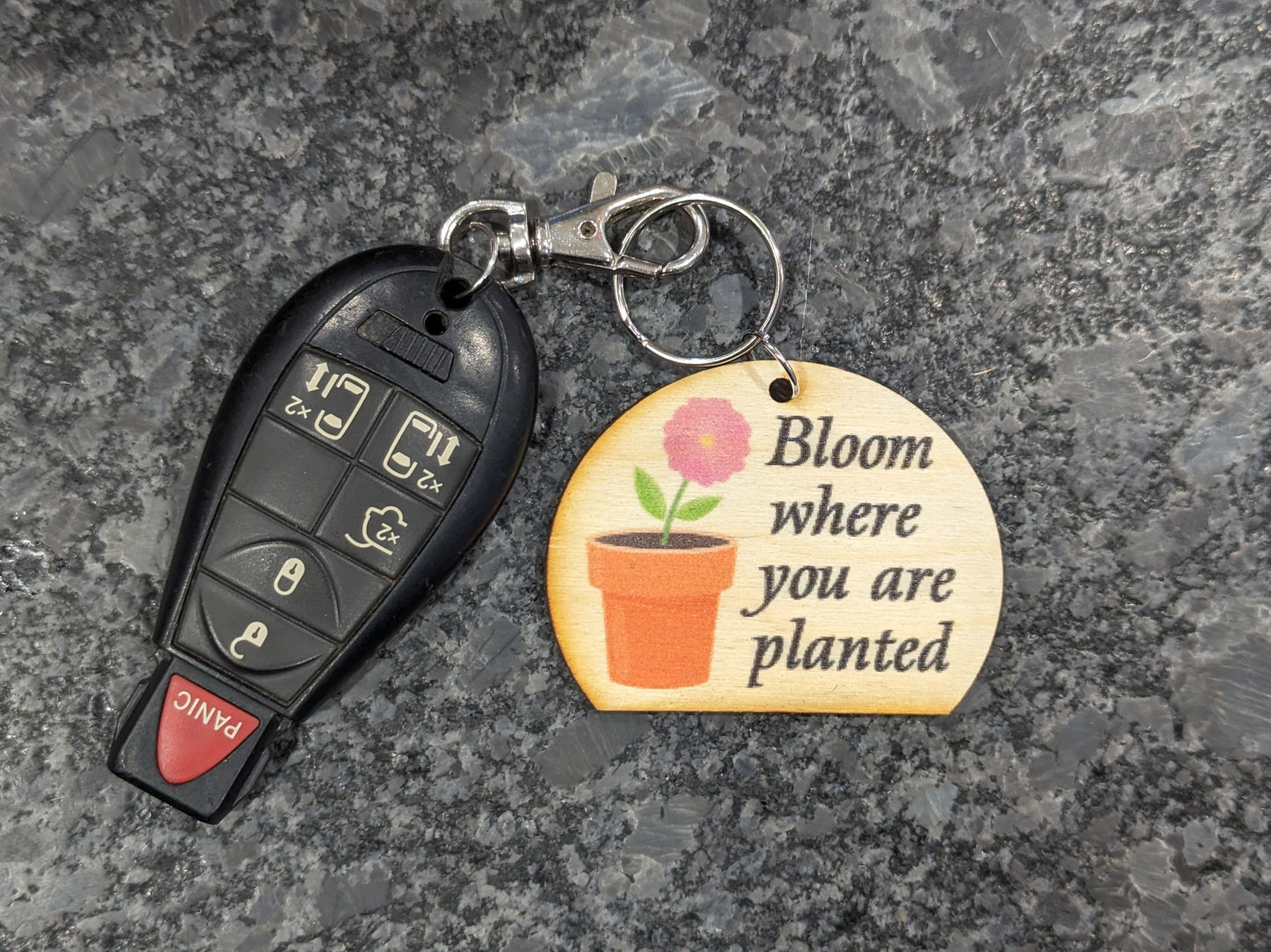 Bloom Where You Are Planted