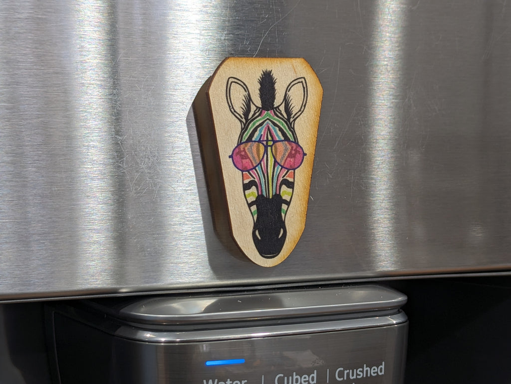 Rainbow Zebra Sunglasses