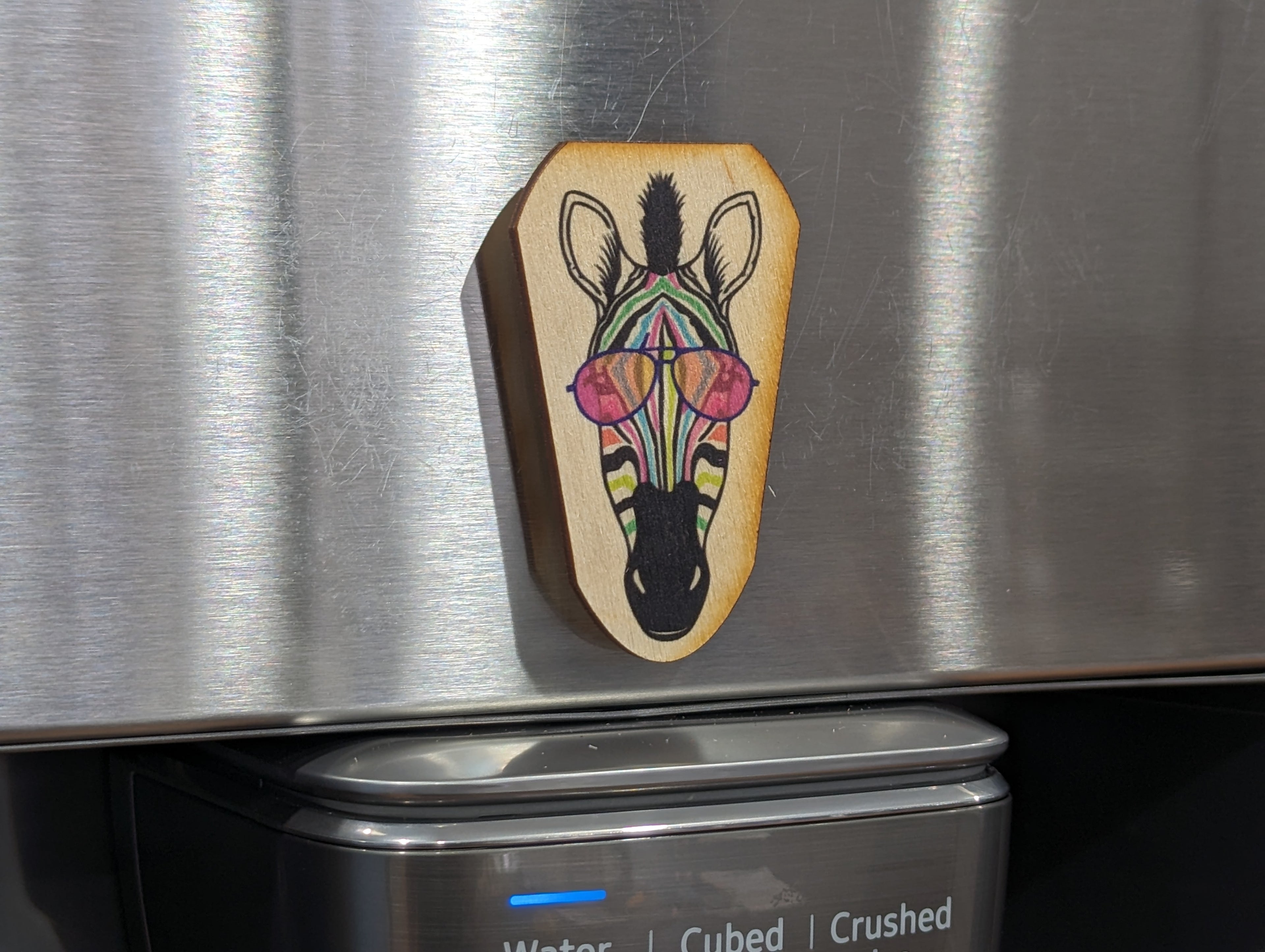 Rainbow Zebra Sunglasses