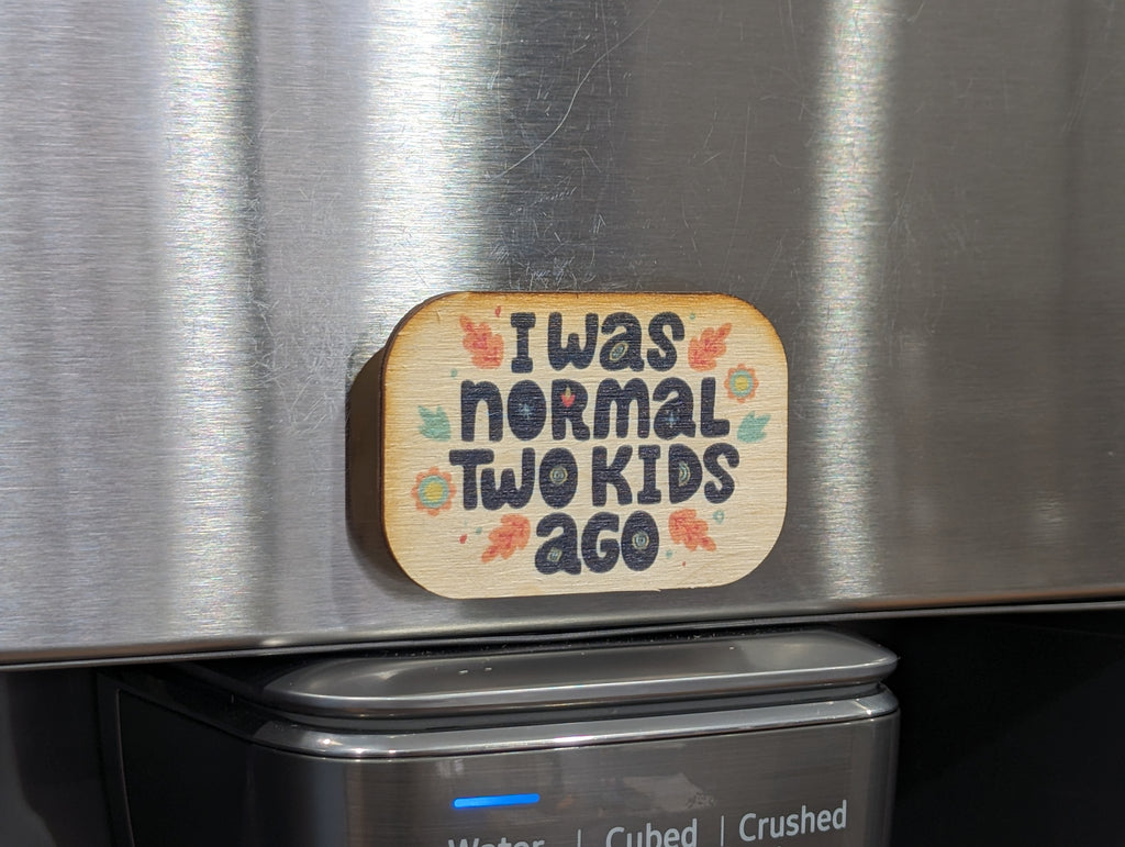 I Was Normal Two Kids Ago