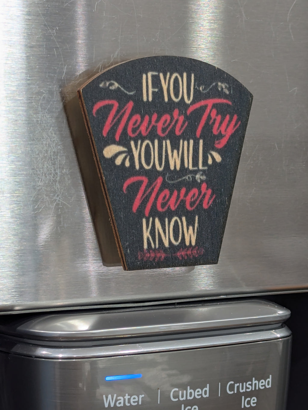 If You Never Try You Will Never Know