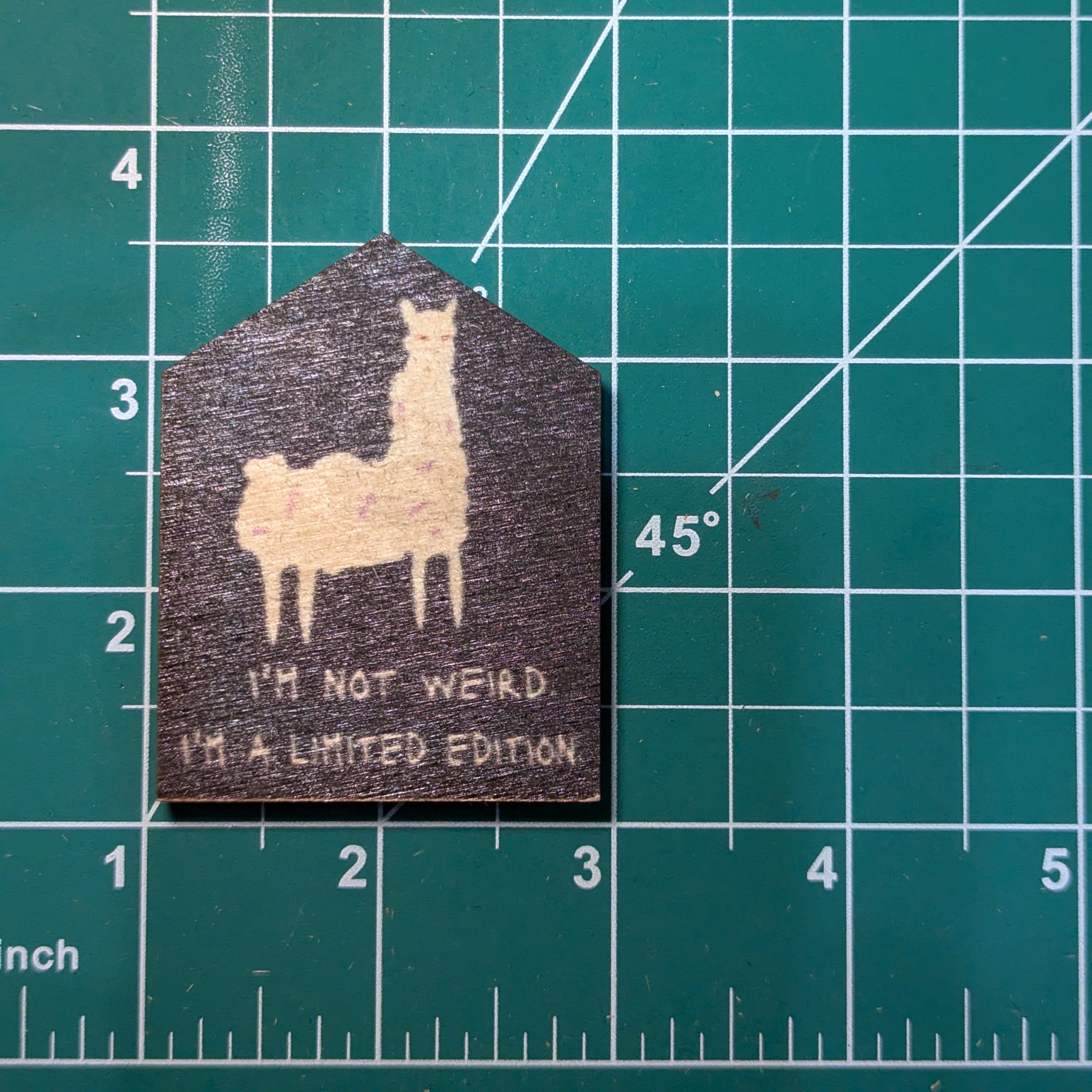 I'm Not Weird I'm Limited Edition