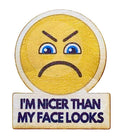 I'm Nicer Than My Face Looks