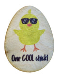 One Cool Chick