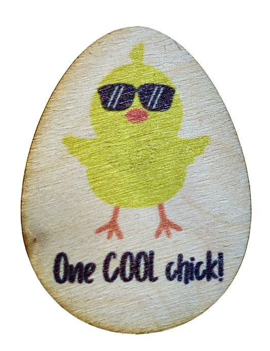 One Cool Chick