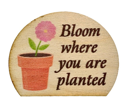 Bloom Where You Are Planted