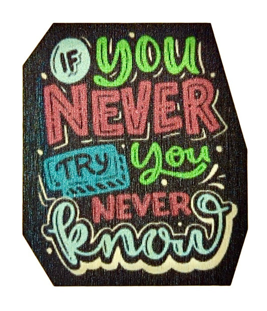 If You Never Try You Never Know